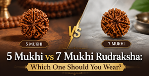 5 Mukhi vs 7 Mukhi Rudraksha: Which One Should You Wear?