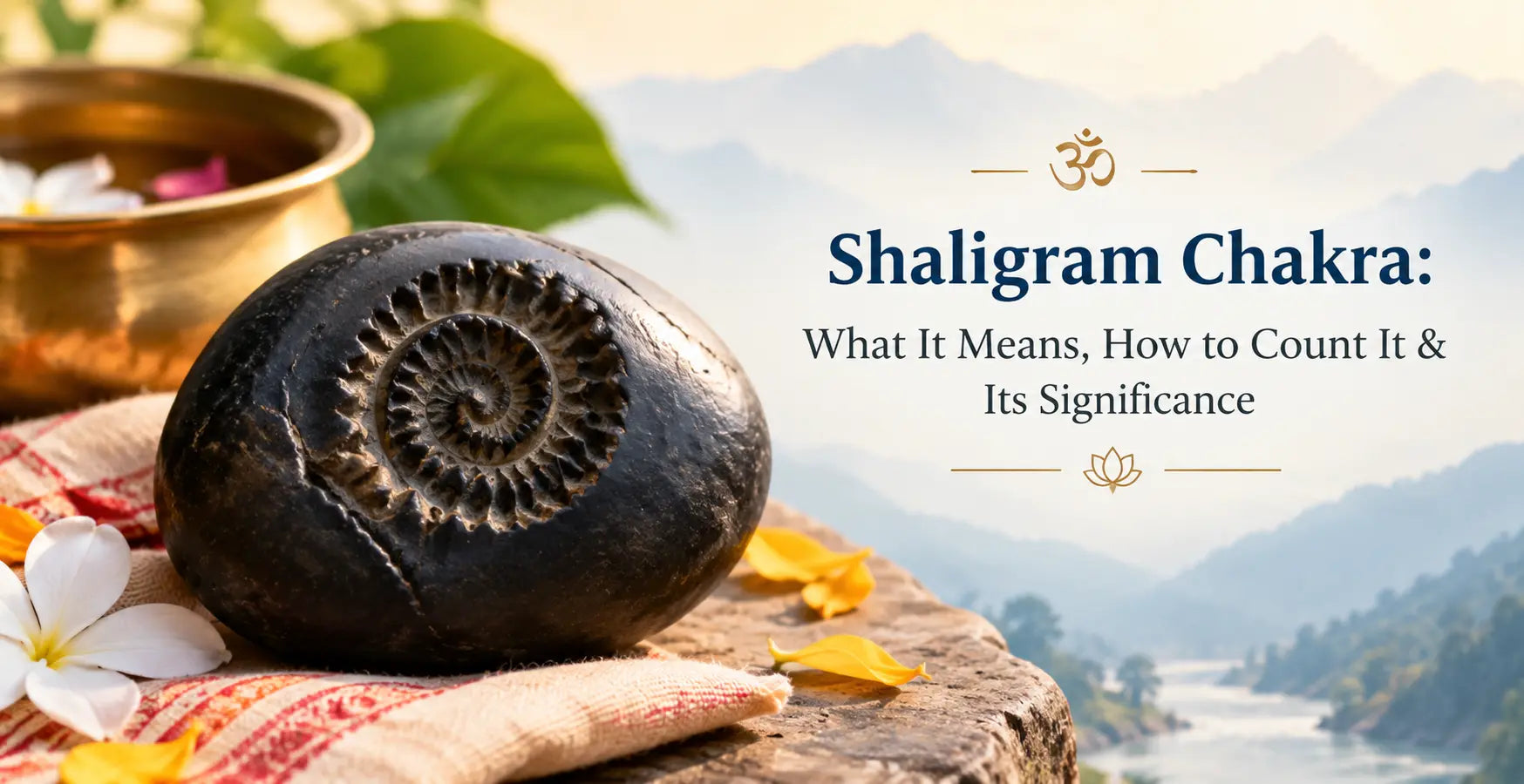 Shaligram Chakra: What It Means, How to Count It & Its Significance