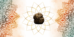 2 Mukhi Rudraksha Benefits: Meaning, Significance & How to Wear