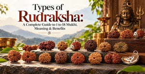 Types of Rudraksha: A Complete Guide to 1 to 18 Mukhi, Meaning & Benefits