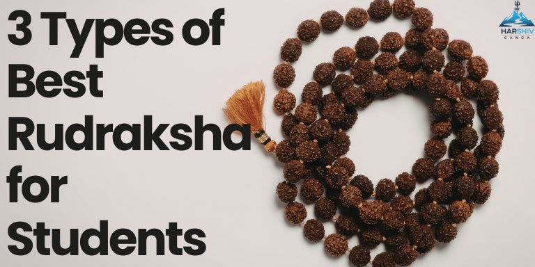 3 Best Rudraksha for Students for Focus & Success