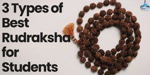 3 Best Rudraksha for Students for Focus & Success