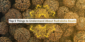 Top 5 Things to Understand About Rudraksha Beads
