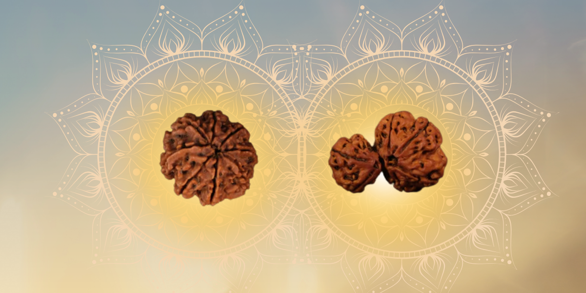 Rudraksha According to Rashi: Which Rudraksha Is Best for Your Zodiac Sign?