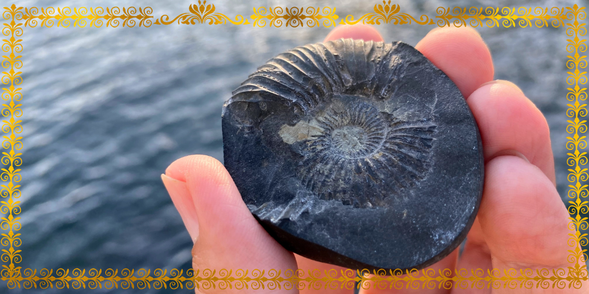 What Is Shaligram? Meaning, Significance, Benefits & Complete Worship Guide