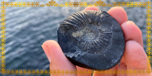 What Is Shaligram? Meaning, Significance, Benefits & Complete Worship Guide