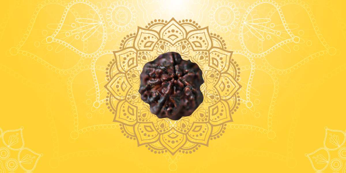 Best Rudraksha for Health: Complete Guide to Spiritual Wellness
