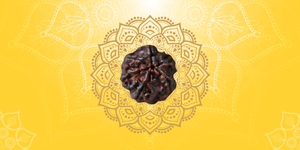 Best Rudraksha for Health: Complete Guide to Spiritual Wellness