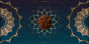 What is 5 Mukhi Rudraksha? Benefits, Uses & Significance