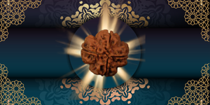 Best Rudraksha for Students: Improve Focus, Memory & Academic Success