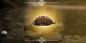 1 Mukhi Rudraksha Benefits, Price, Authenticity & Complete Guide