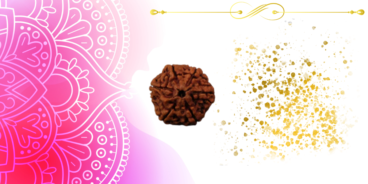 6 Mukhi Rudraksha Benefits: Meaning, Significance, and How to Wear It