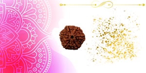 6 Mukhi Rudraksha Benefits: Meaning, Significance, and How to Wear It