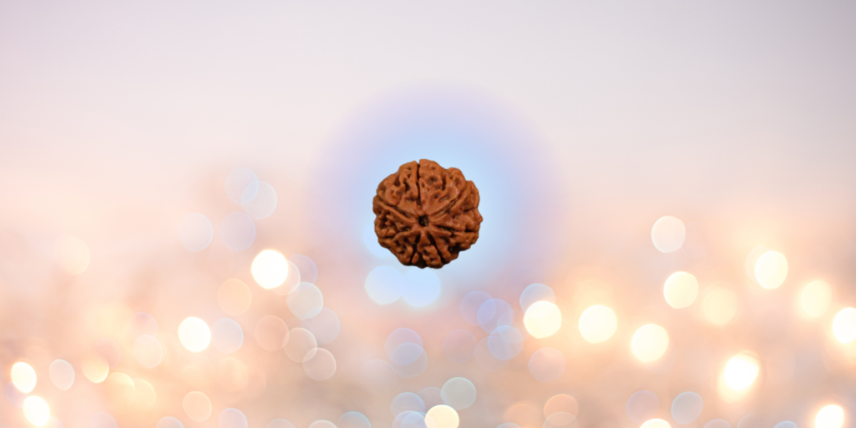 Rules to Wear Rudraksha: A Complete Guide for Maximum Spiritual Benefits