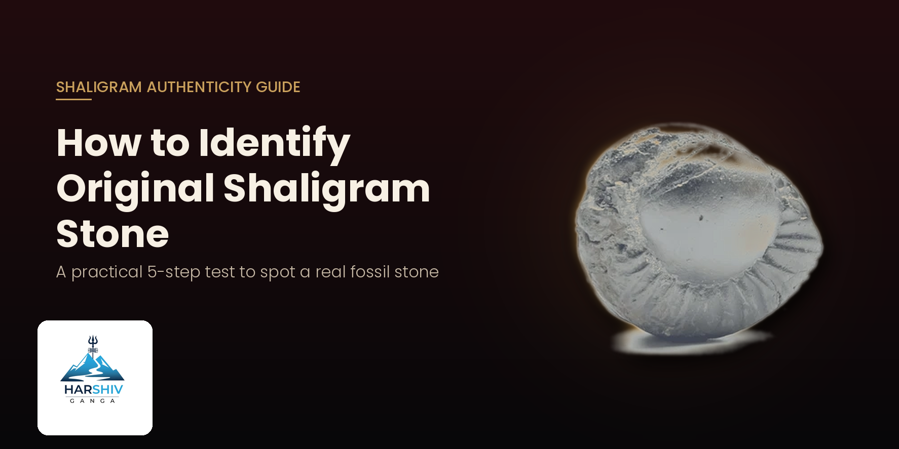 How to Identify Original Shaligram Stone: A Complete Authenticity Guide
