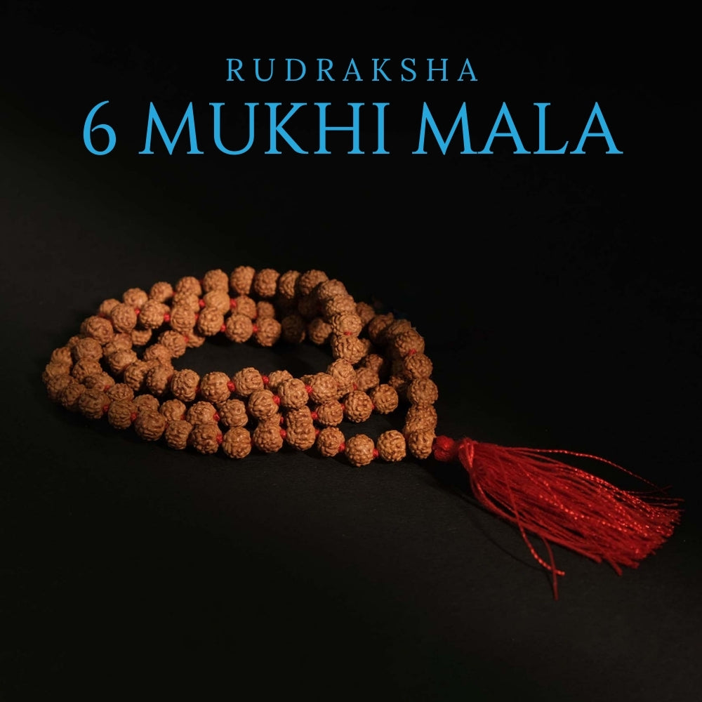 6 Mukhi Rudraksha Mala - Mala/ Bracelets