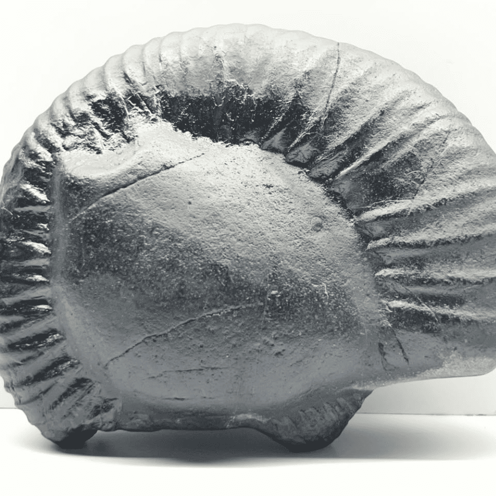 Narsimha Shaligram N26 (5inch/720gm)