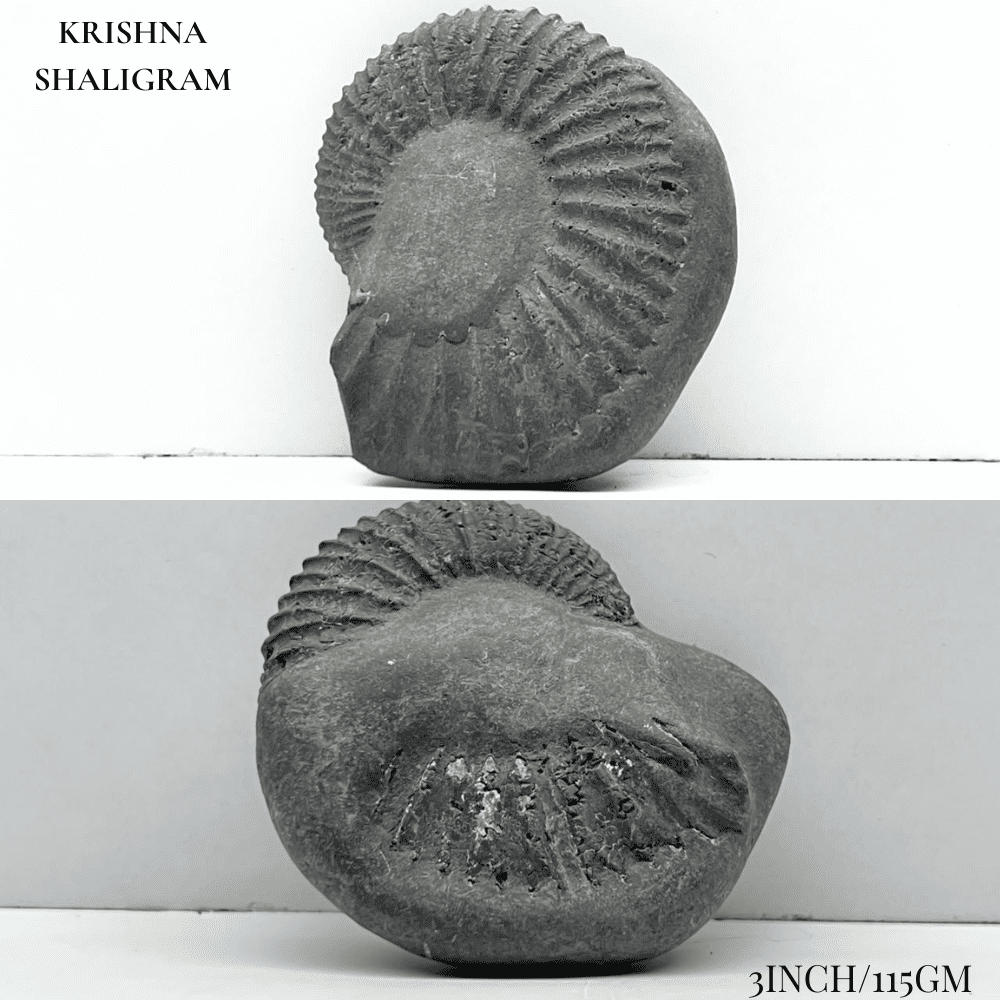 Dashavatar Shaligram Set-Medium Size
