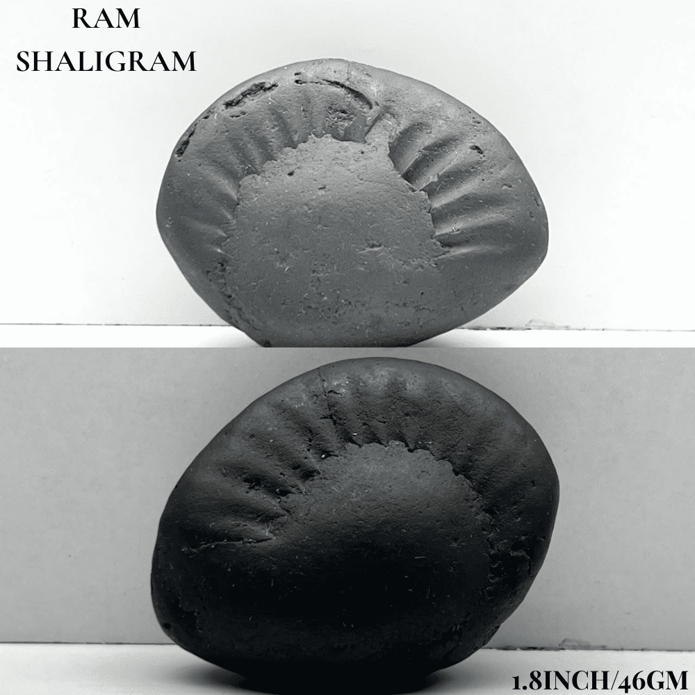 Dashavatar Shaligram Set-Small Size