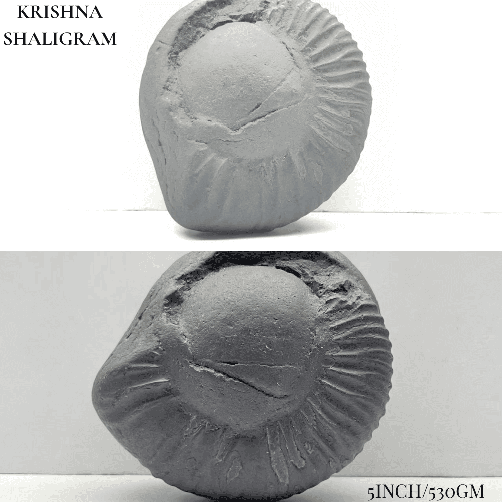Dashavatar Shaligram Set-Big Size