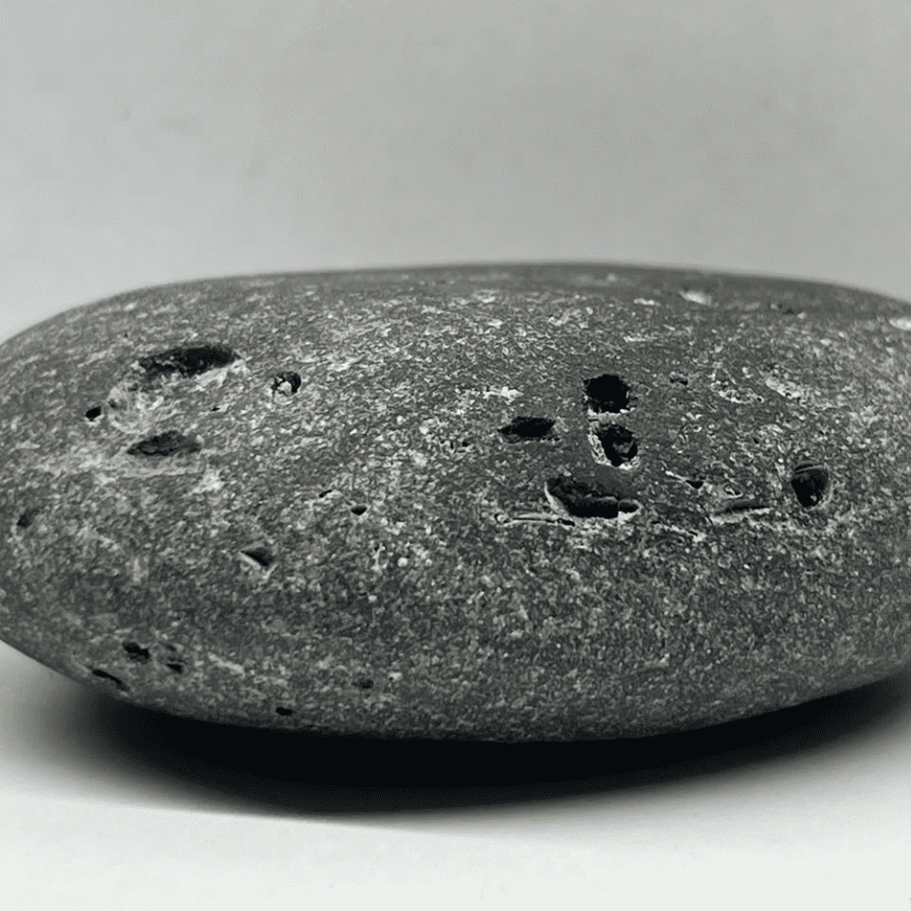 Ananta Shaligram AN03(130gm/2inch)