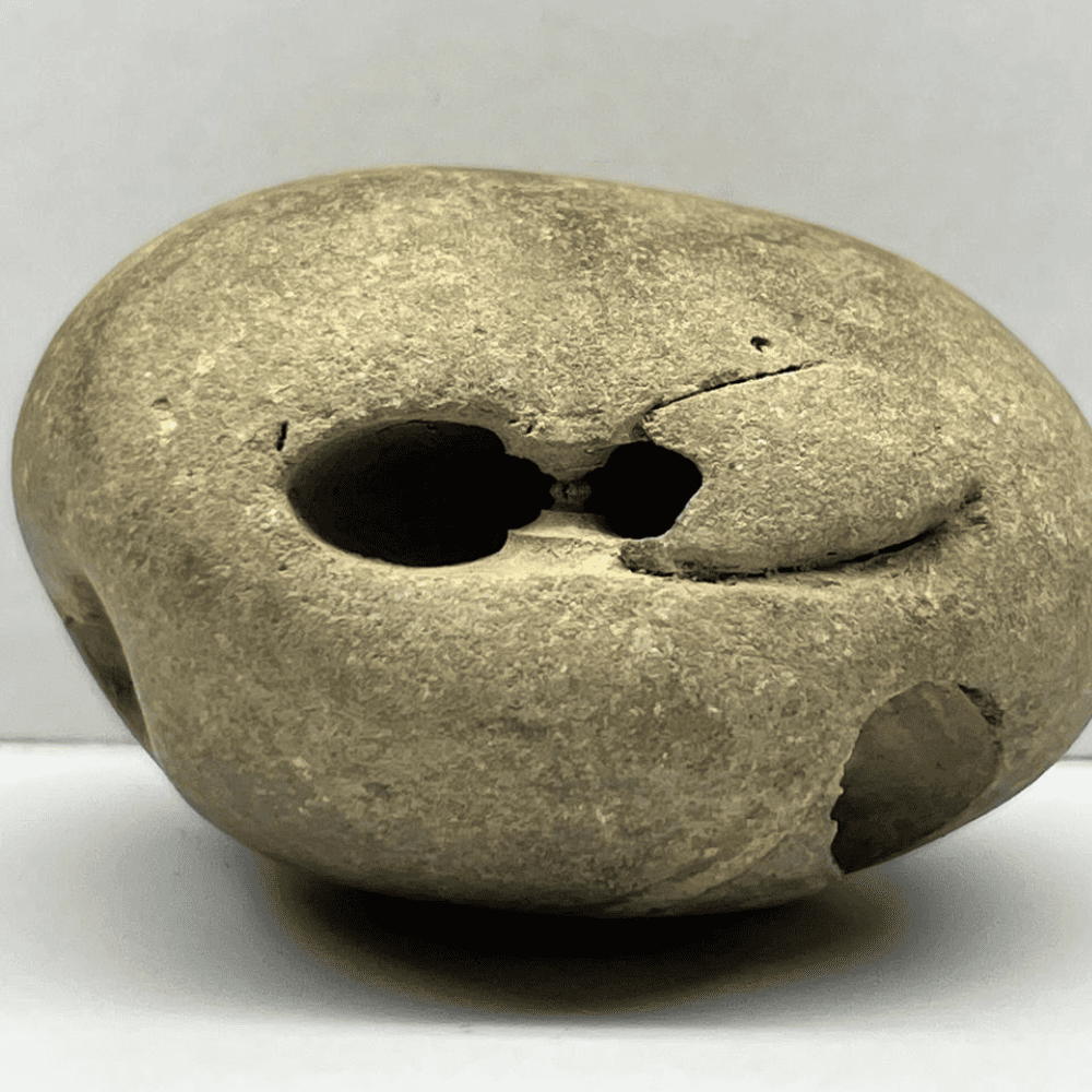 Peetam Janardana Shaligram-4Chakra  M03(2inch/115gm)