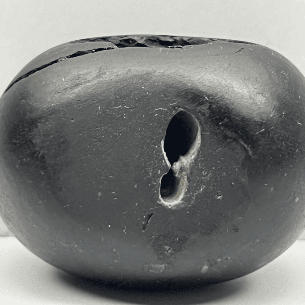 M17 Laxmi Janardana Shaligram 4Chakras (2inch/135gm)