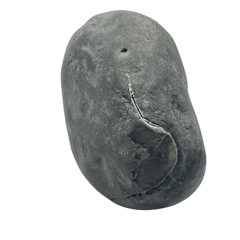 Sheshnaag Kurma Shaligram