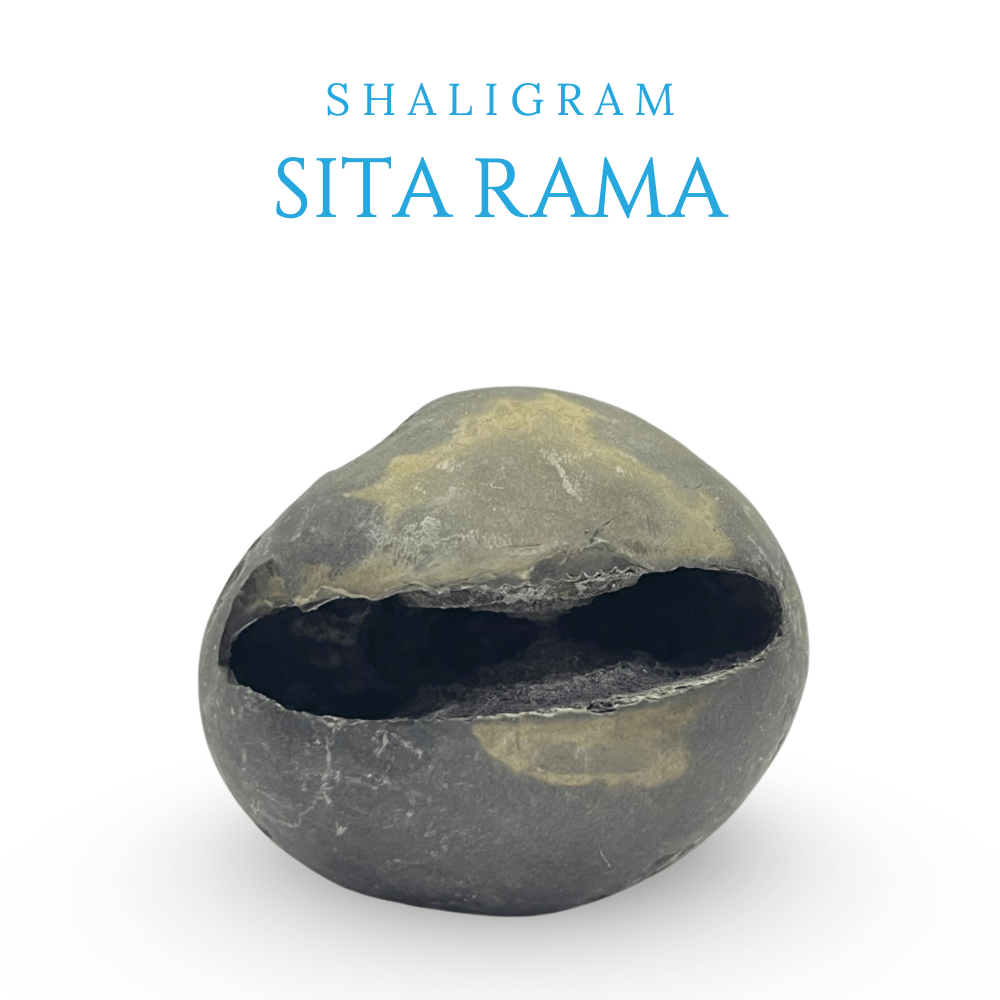 Sita Rama Shaligram