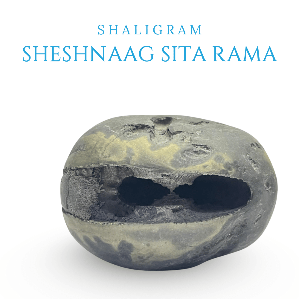 Sheshnaag Sita Rama
