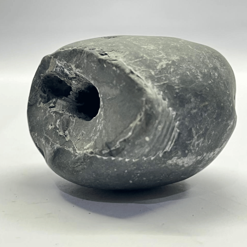 LAXMI MATSYA Shaligram