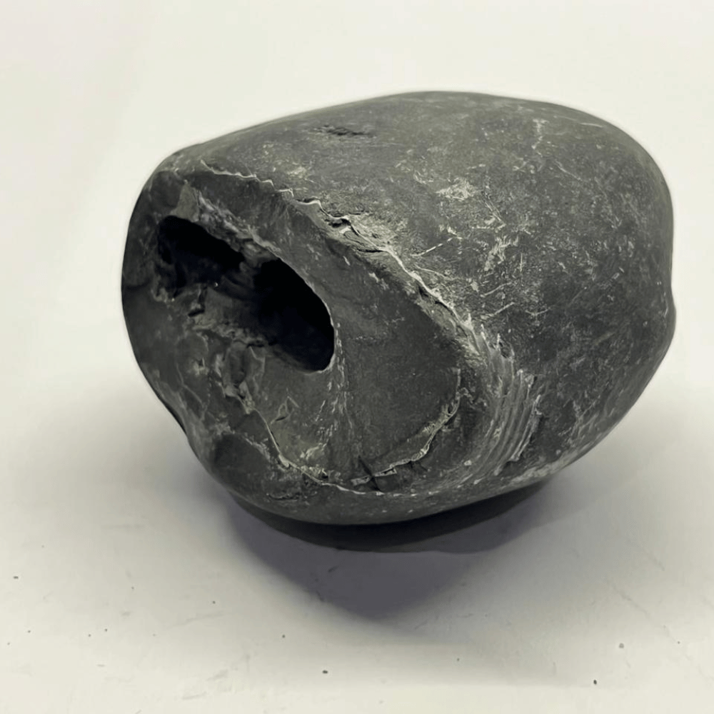 LAXMI MATSYA Shaligram