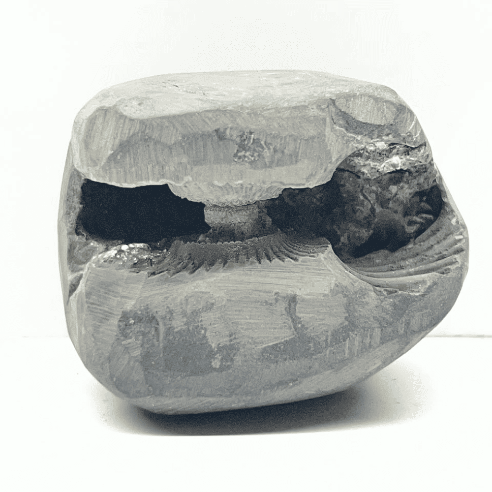 Golden Varaha Laxmi Shaligram LN121(2inch/165gm)