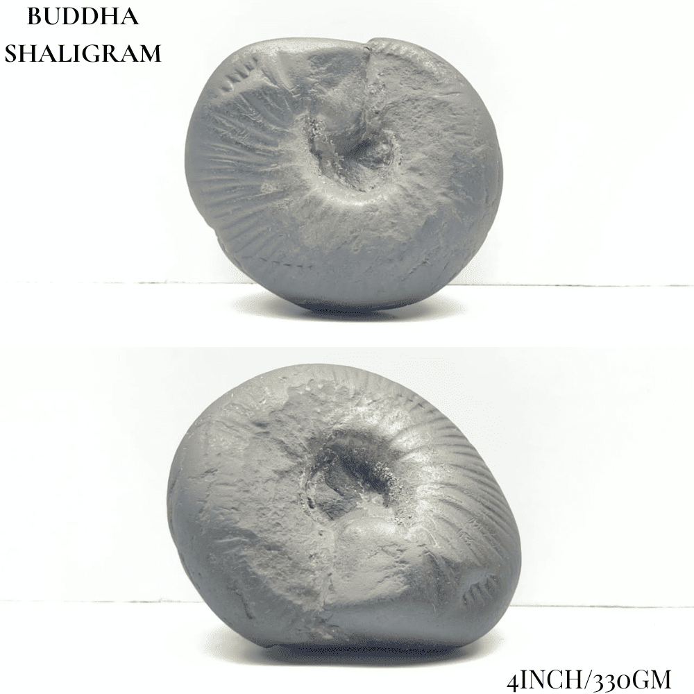Dashavatar Shaligram Set-Big Size
