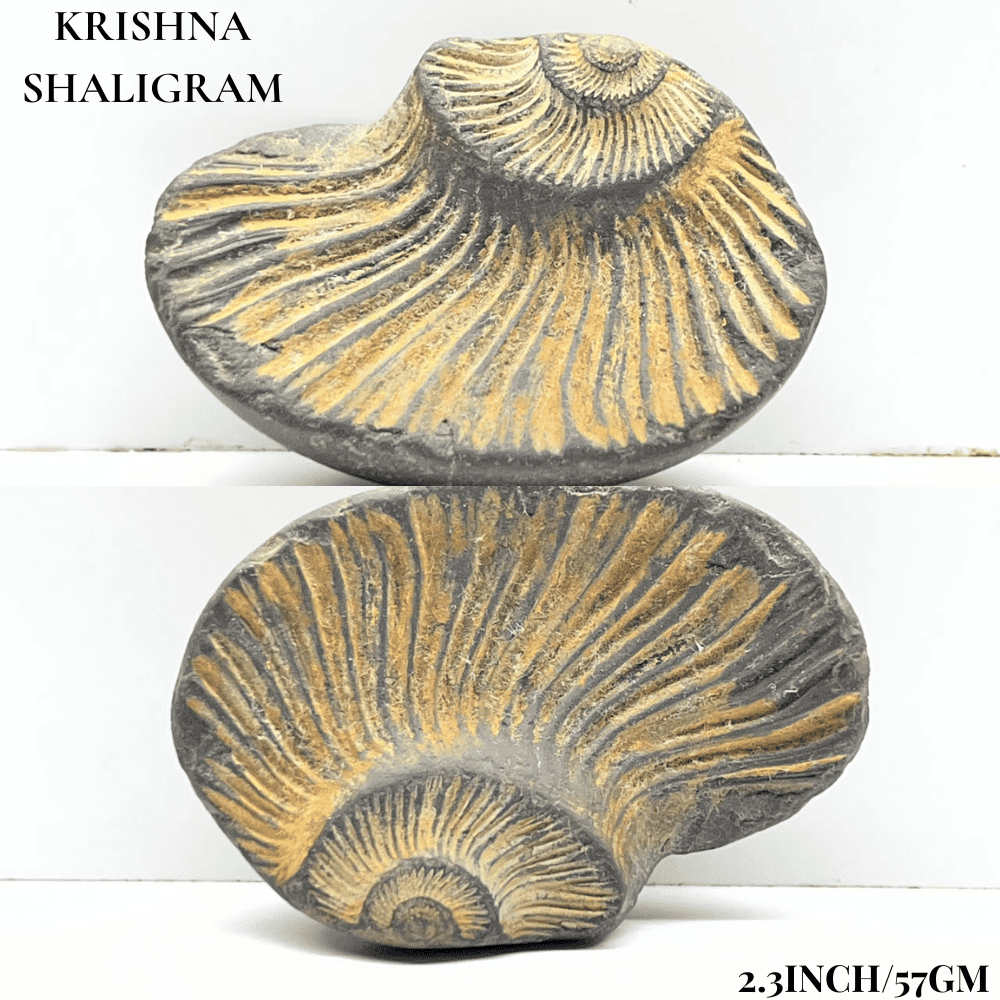 Dashavatar Shaligram Set-Small Size