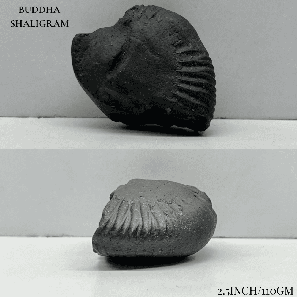 Dashavatar Shaligram Set-Medium Size