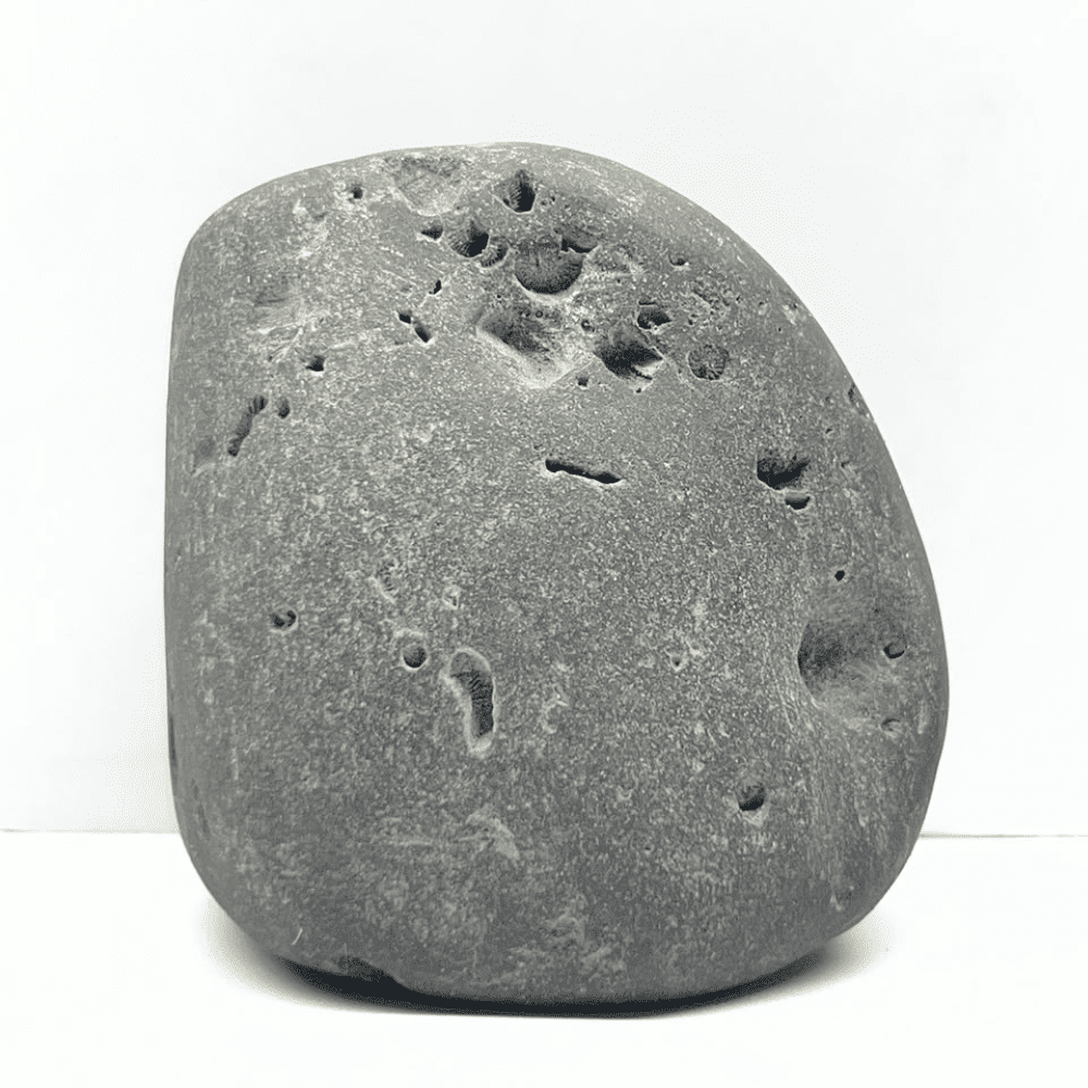 Ananta Govardhan Shaligram AN04(200gm/2.5inch)
