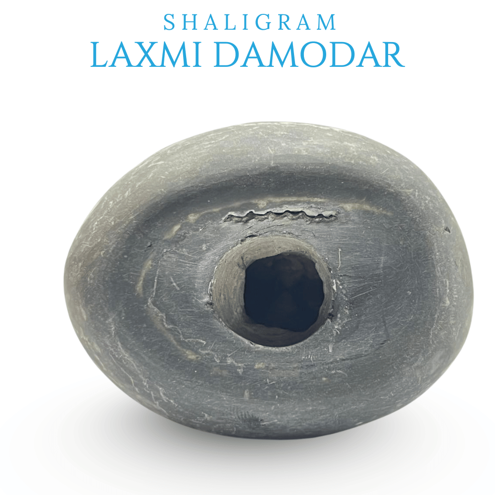 Laxmi Damodar Shaligram