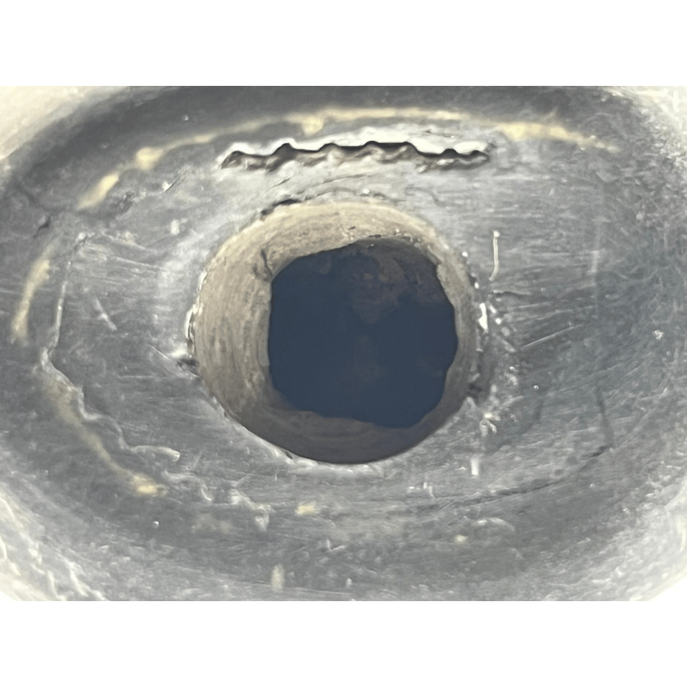 Laxmi Damodar Shaligram