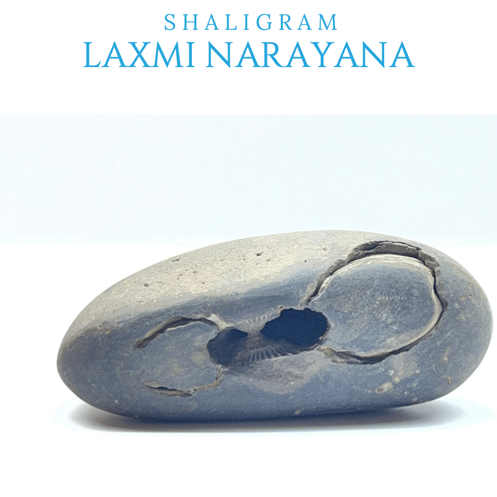Sukshma Laxmi Narayana