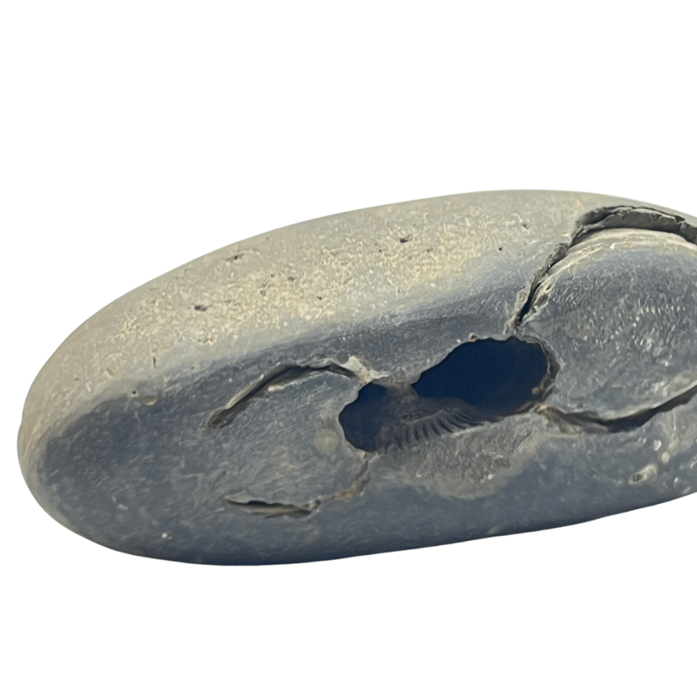 Sukshma Laxmi Narayana