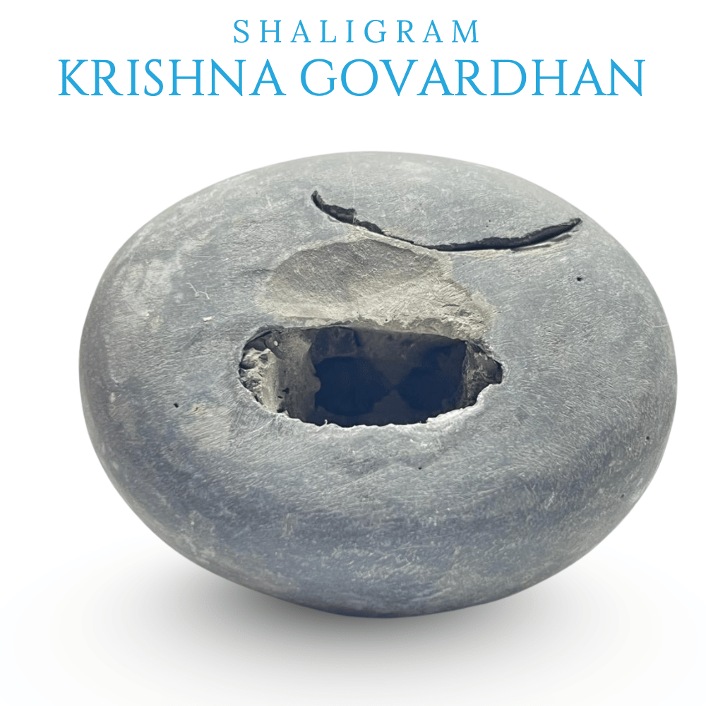 Krishna Govardhan Shaligram