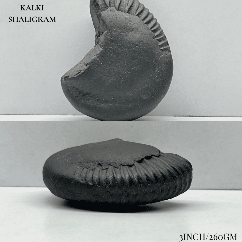 Dashavatar Shaligram Set-Medium Size