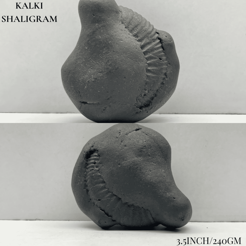 Dashavatar Shaligram Set-Big Size