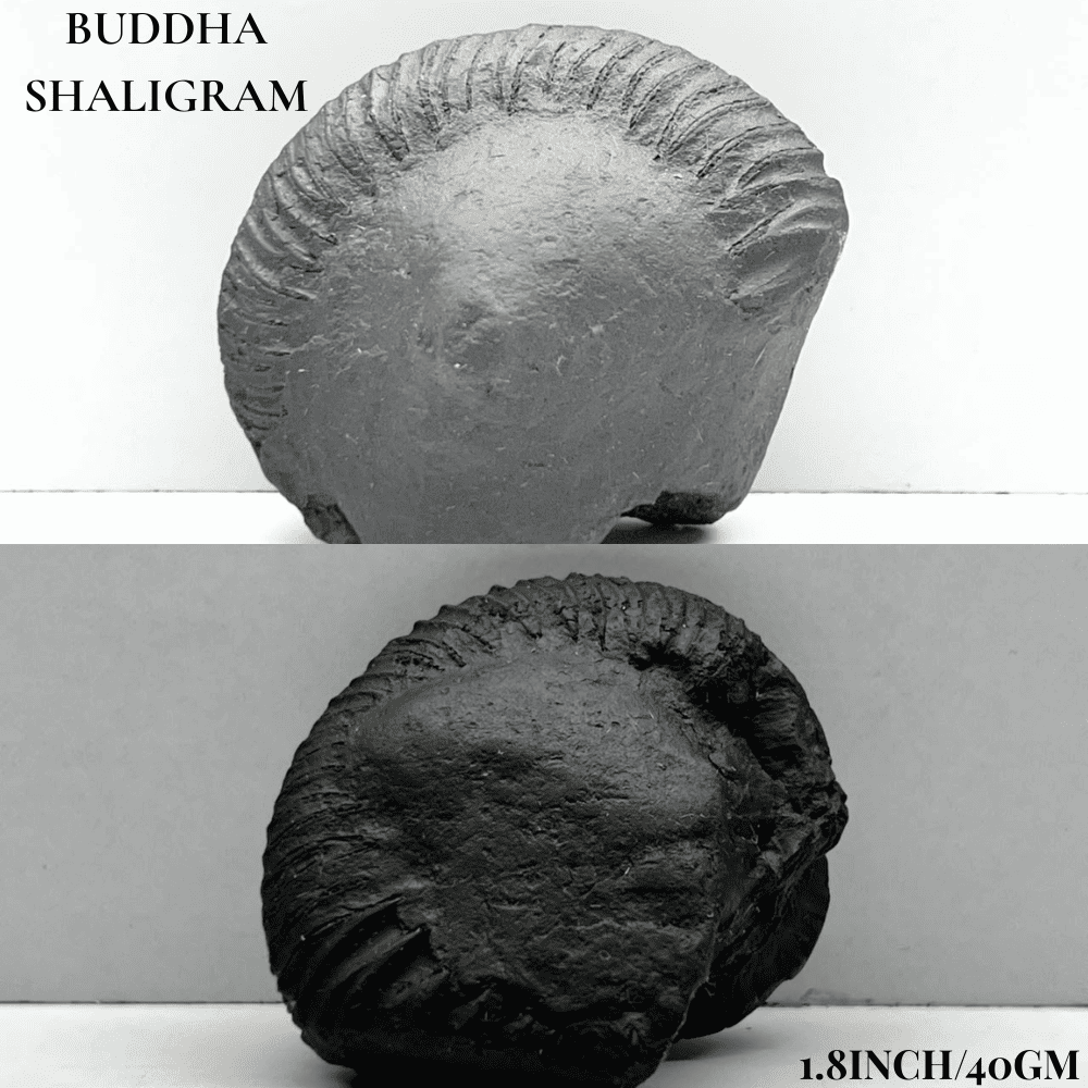 Dashavatar Shaligram Set-Small Size