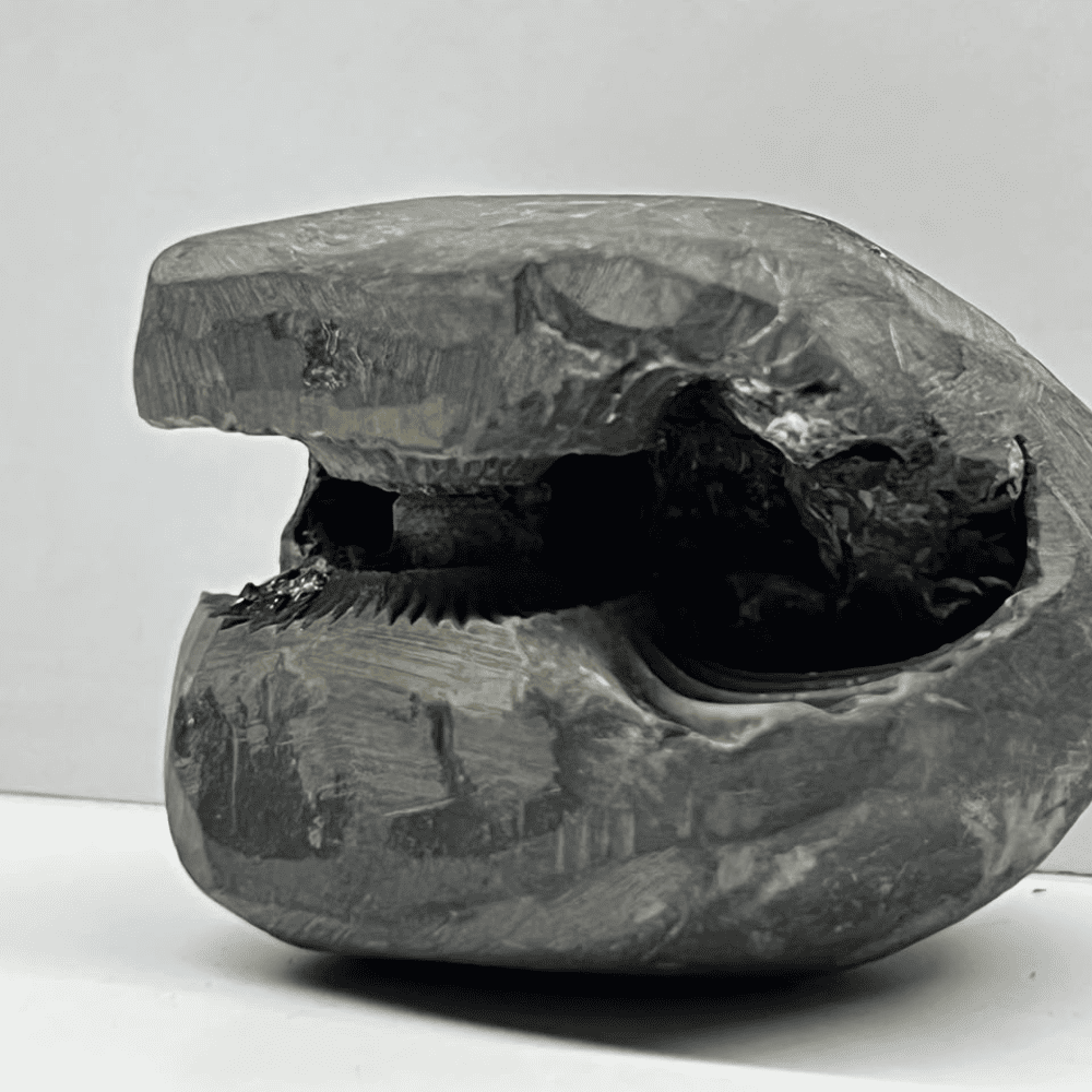 Golden Varaha Laxmi Shaligram LN121(2inch/165gm)