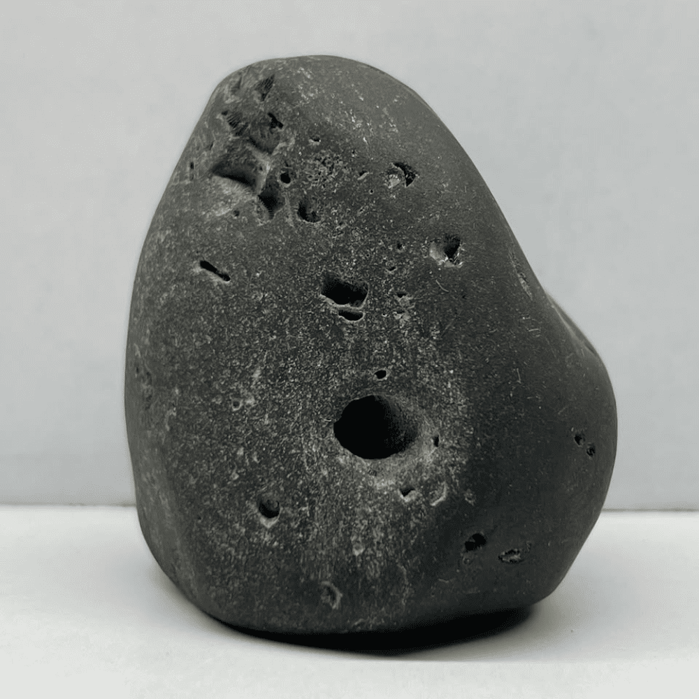 Ananta Govardhan Shaligram AN04(200gm/2.5inch)