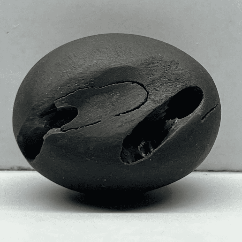 Janardana Shaligram 4chakras-M33(1.5inch/40gm)