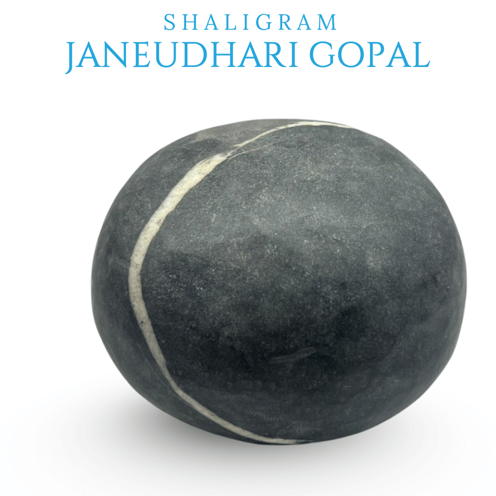 Janeudhari Gopal Shaligram