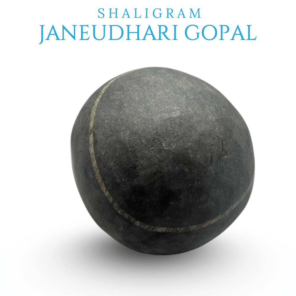 Janeudhari Gopal Shaligram